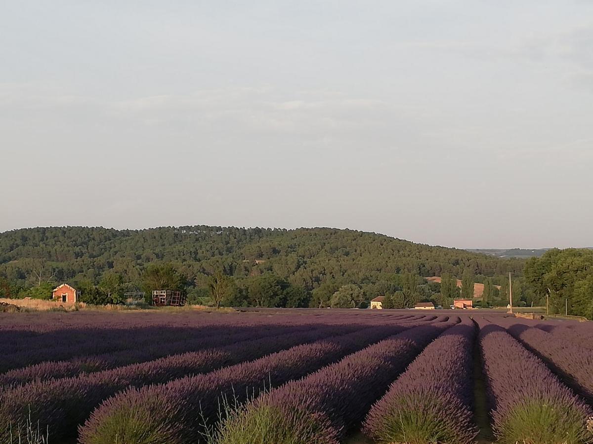 Côté Terrasse *